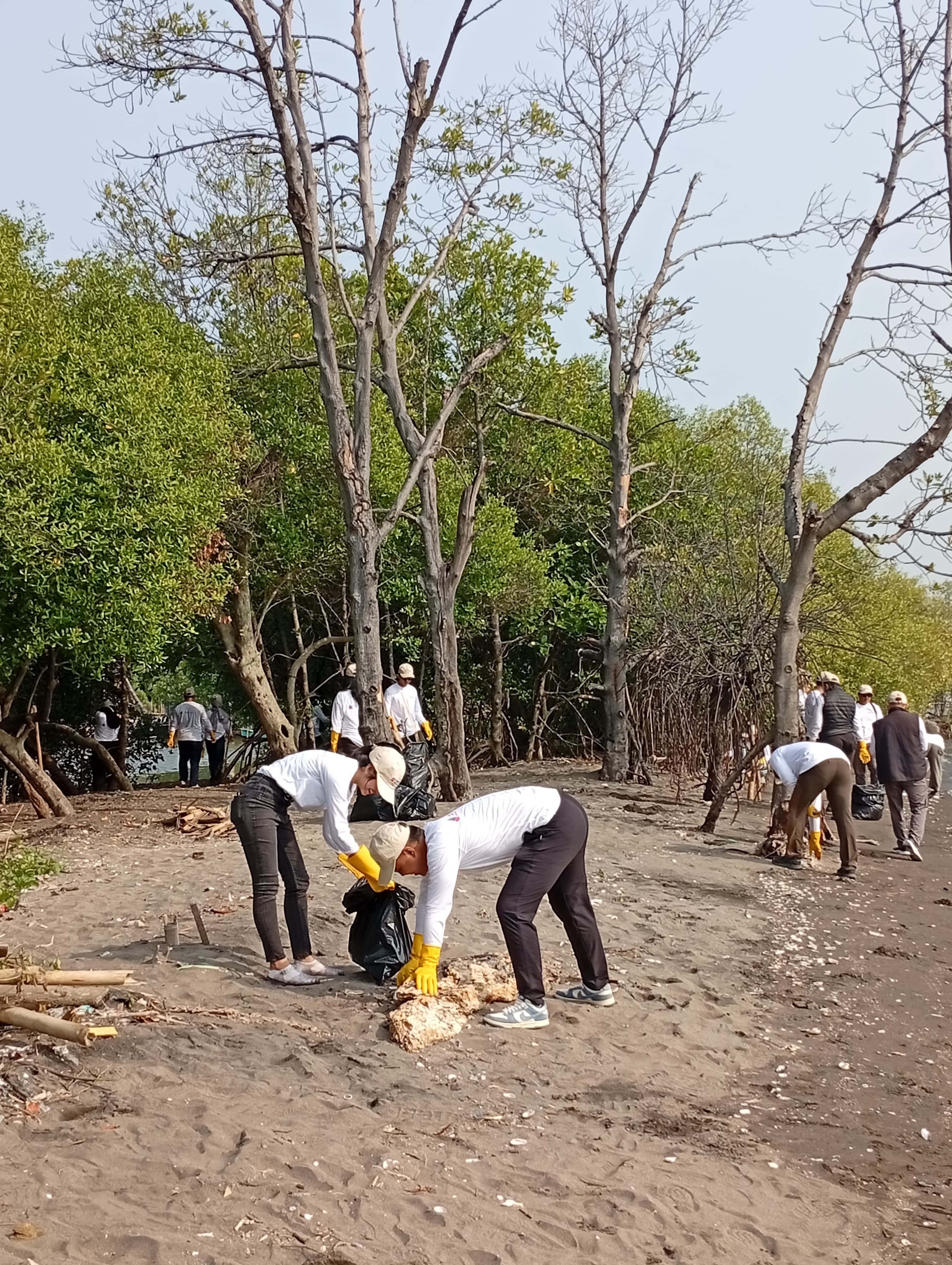 HUMI Bersih-bersih Pantai